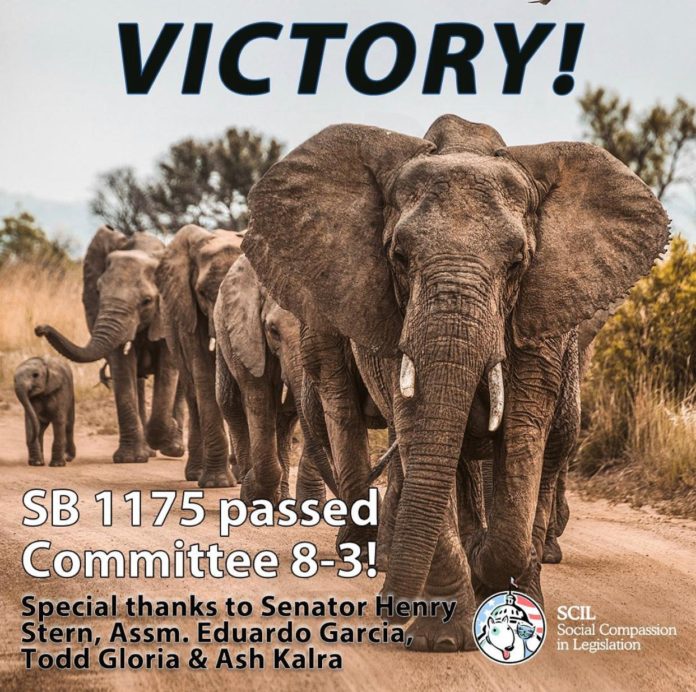 victory sb 1175 passed